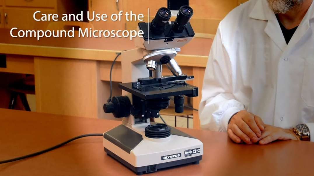 Compound Light Microscope Setup: Practical Lab