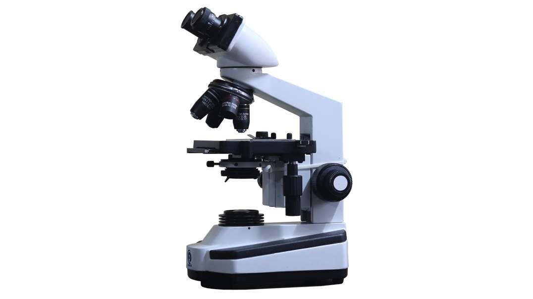 Compound light microscope: Setup and Use