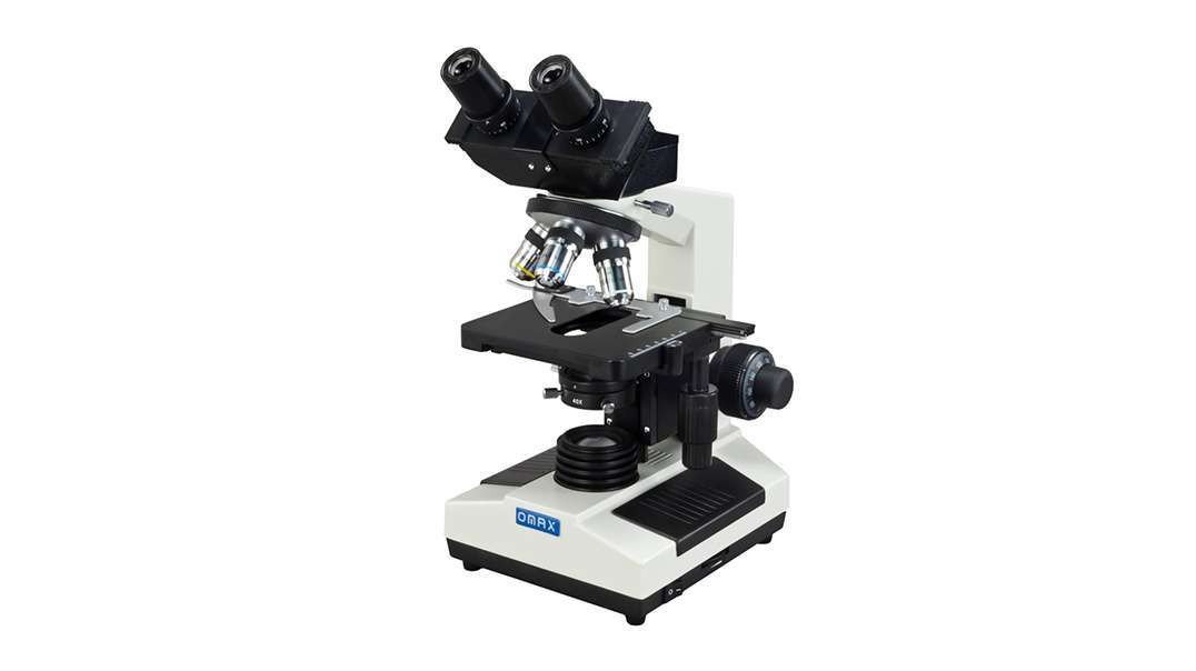 Light Microscope Parts and Functions in Detail