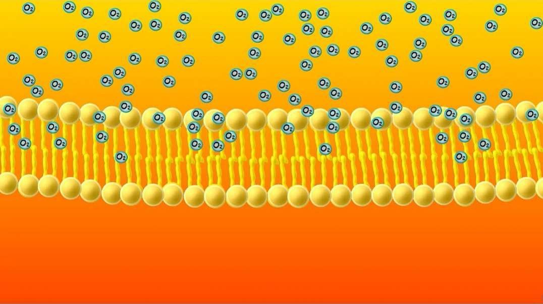 Simple Diffusion