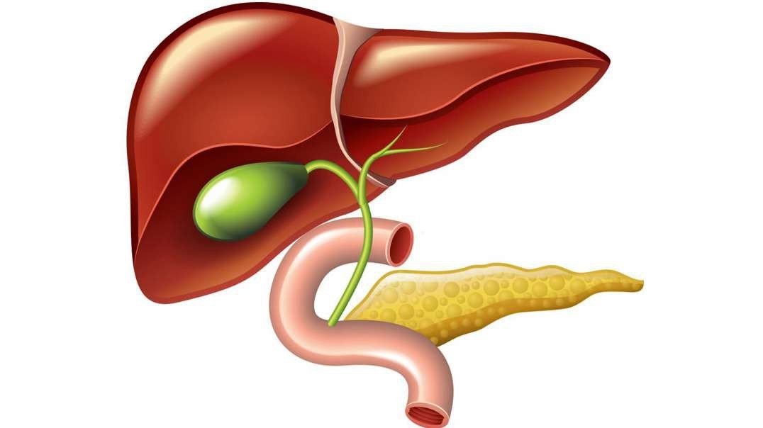 The Gallbladder and Biliary Tree