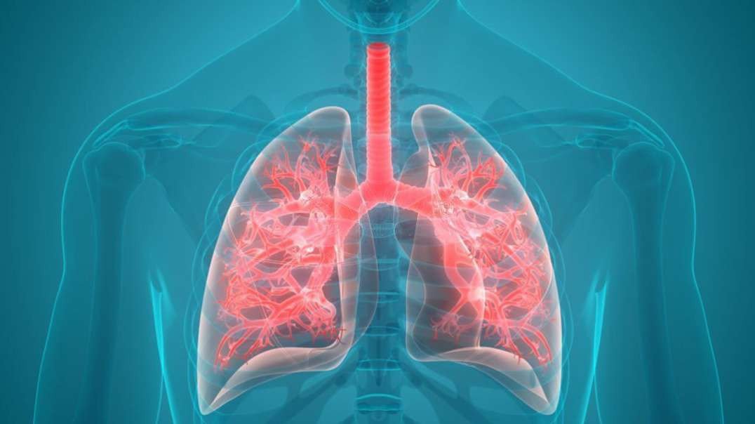 Anatomy and physiology of Respiratory system