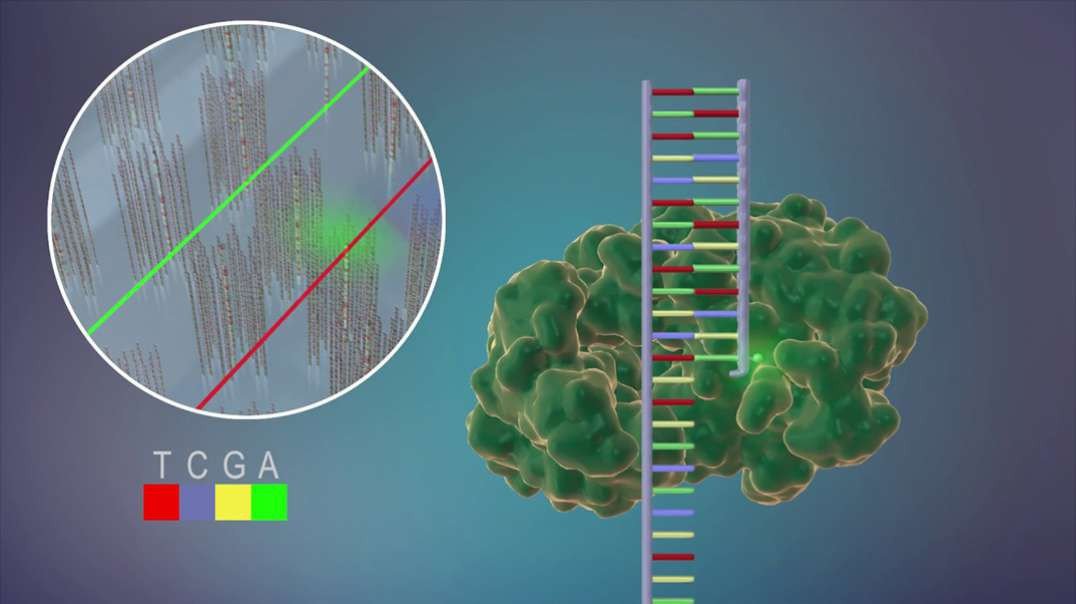 DNA Sequencing at Speed