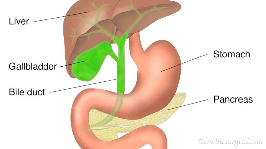 Gallbladder Anatomy and Removal Surgery Animation