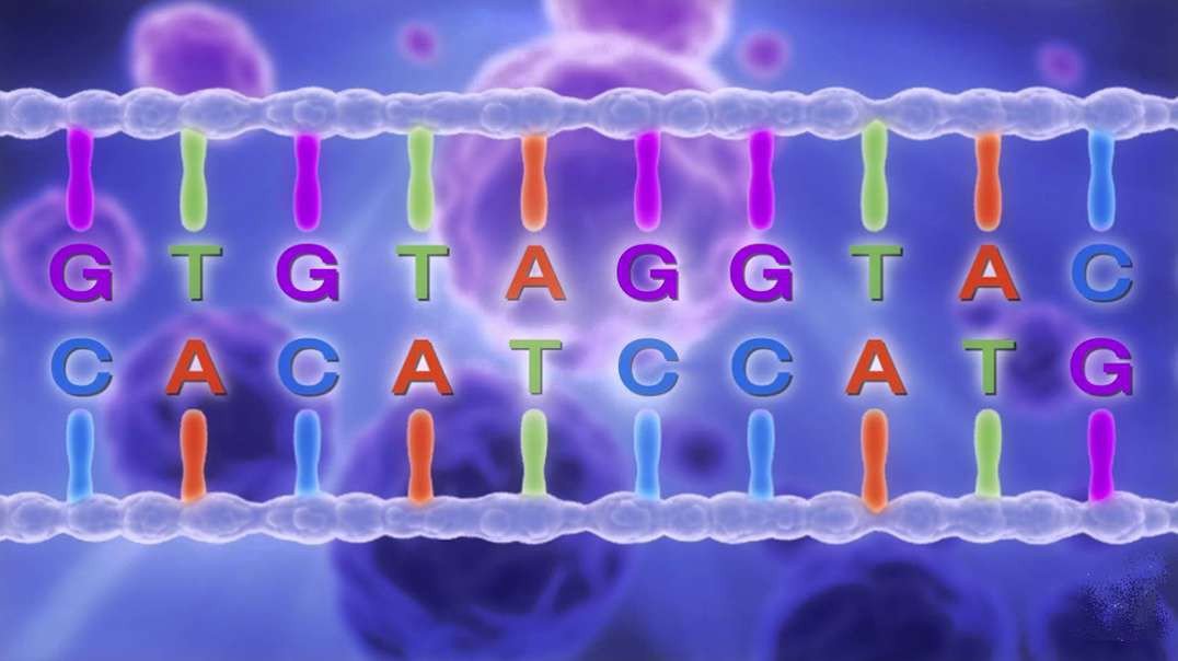 DNA Sequencing