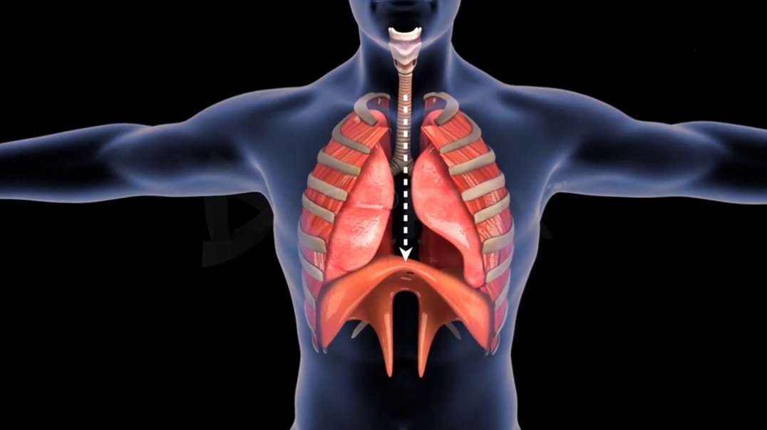 Breathing Mechanism