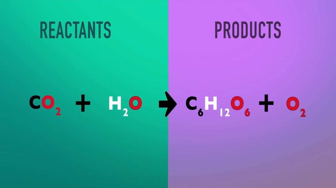 Chemical Reactions