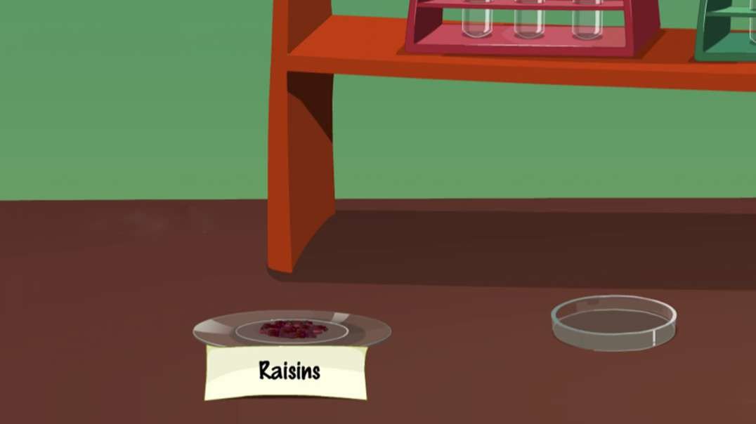 Imbibition by Raisins
