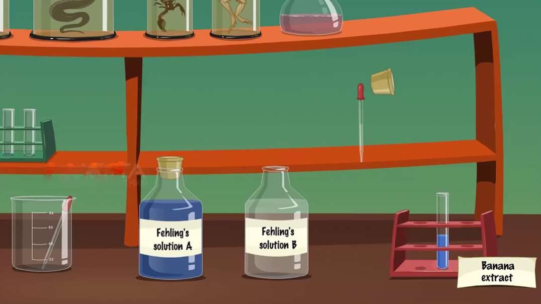 Test for Carbohydrates, Proteins and Fats