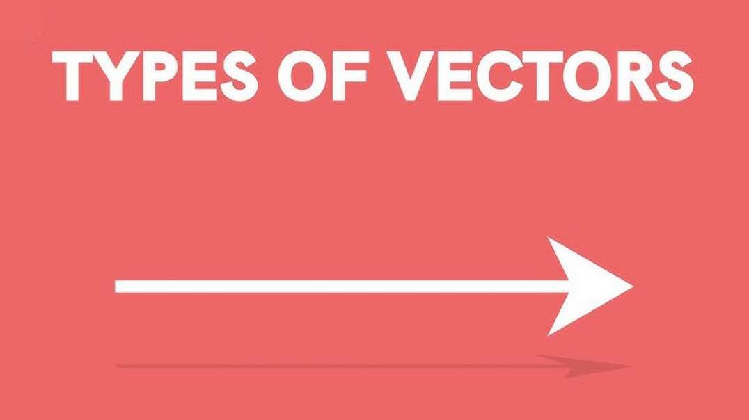 Types of Vectors