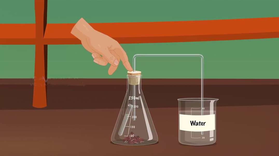 Role of Carbon dioxide During Respiration