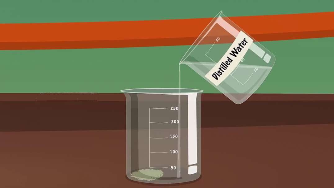 Detection of Starch in Food Samples