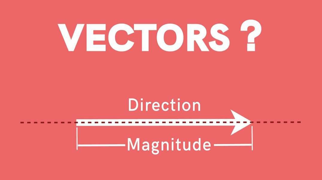 What are Vectors?