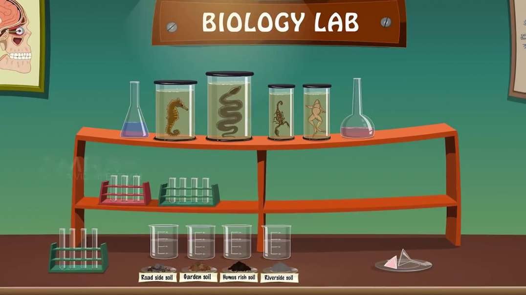 Study of Physical Properties of Soil