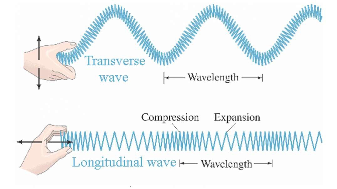 Different Types of Waves: Longitudinal & Transverse Waves | Mechanical Wave |