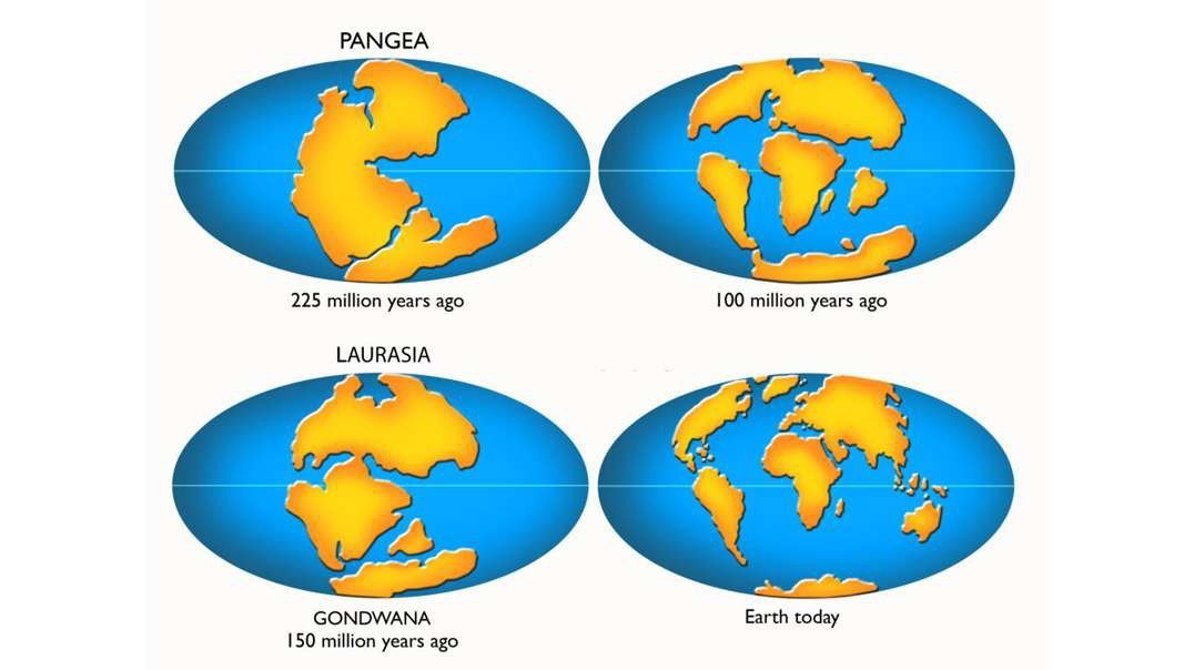 Pangea, Laurasia, Gondwana: 240 million years ago to 250 million years in the future